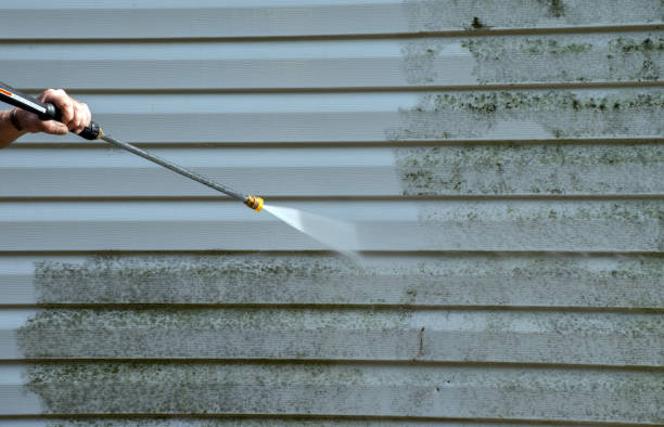 Best Commercial Mold Removal  in Crowley Lake, CA