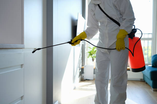 Crawl Space Mold Removal in Crowley Lake, CA
