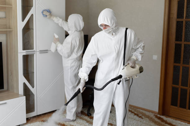 Office Mold Removal Services in Crowley Lake, CA