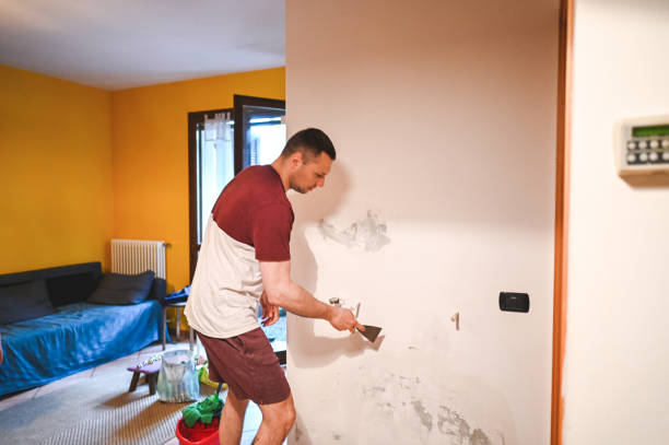 Best Mold Remediation Experts  in Crowley Lake, CA