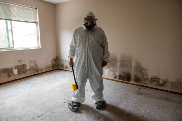 Best Professional Mold Removal  in Crowley Lake, CA
